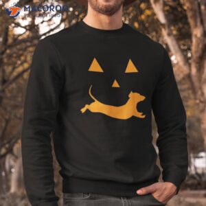 halloween pumpkin dachshund jack o lantern shirt costume sweatshirt