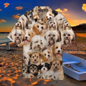 i have a brown and white havanese dog wearing an awesome hawaiian shirt 0
