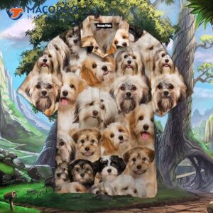 i have a brown and white havanese dog wearing an awesome hawaiian shirt 1