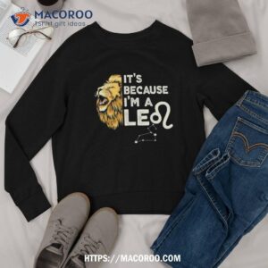 i m a leo zodiac sign astrology july august birthday leo shirt sweatshirt