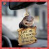 Otter Get In Lover Custom-shaped Christmas Acrylic Ornament