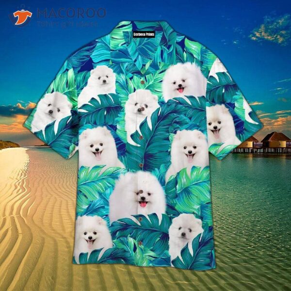 Pomeranian Dogs, Tropical Green Leaves, And Hawaiian Shirts