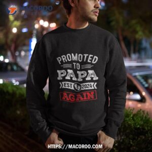 promoted to papa again 2024 pregnancy announcet shirt sweatshirt