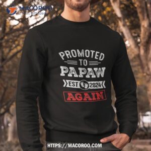 promoted to papaw again 2024 pregnancy announcet shirt sweatshirt