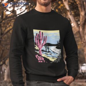 Subtle Pansexual Pride Desert Scenery Pride Flag Lgbshirt 2 subtle pansexual pride desert scenery pride flag lgbt shirt sweatshirt