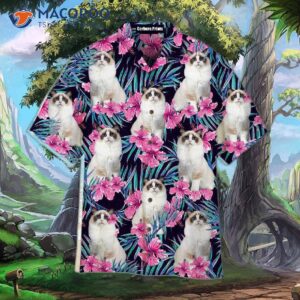 white ragdoll cat plays hide and seek in pink floral tropical hawaiian shirts 0