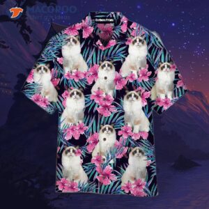 white ragdoll cat plays hide and seek in pink floral tropical hawaiian shirts 1