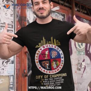 Bulls Bears Cubs And Blackhawks Chicago City Of Champions 2023 Shirt