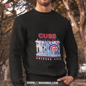 chicago cubs 2023 baseball team names skyline shirt sweatshirt