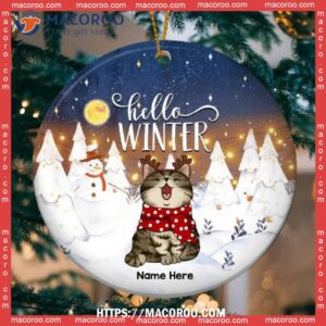 Custom Hello Winter Full Moon Circle Ceramic Ornament, Personalized Cat Ornaments