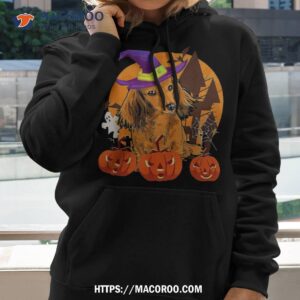 cute wiener dachshund witch amp pumpkin dog lover halloween shirt hoodie