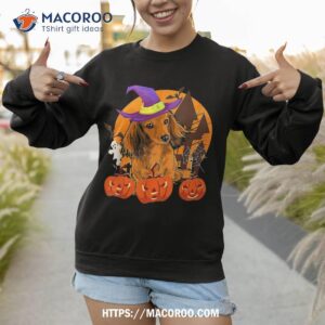 cute wiener dachshund witch amp pumpkin dog lover halloween shirt sweatshirt