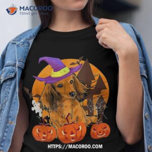 cute wiener dachshund witch amp pumpkin dog lover halloween shirt tshirt