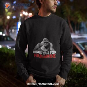 dicks out for harambe 2023 shirt sweatshirt