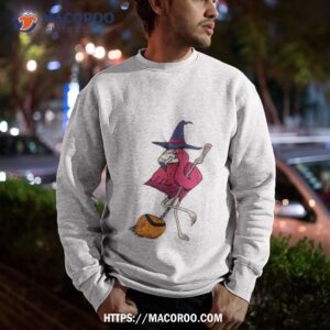 flamingo witch halloween shirt sweatshirt