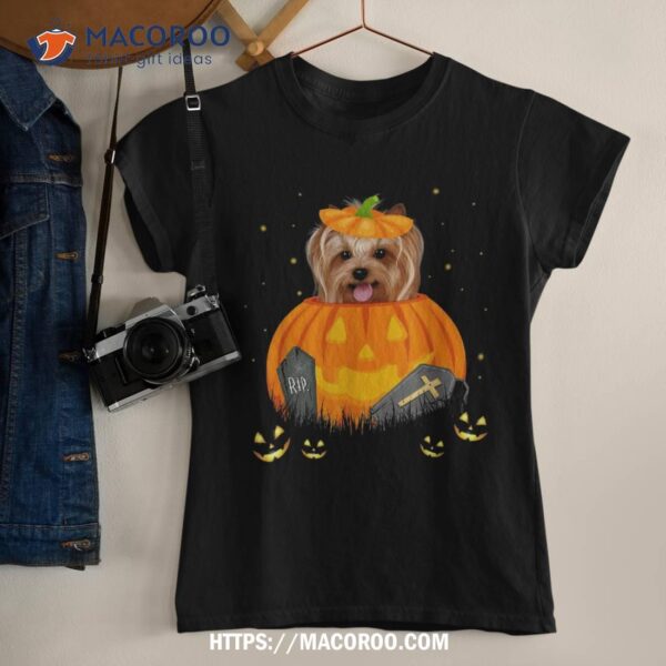 Funny Yorkie Inside Pumpkin Halloween Costume Dog Lover Gift Shirt