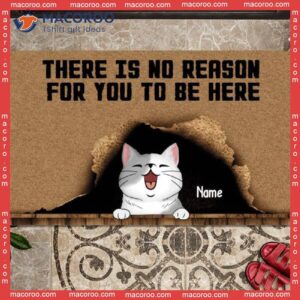 Gifts For Cat Lovers, There Is No Reason You To Be Here Outdoor Door Mat, Personalized Doormat