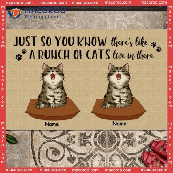 Just So You Know There’s Like A Bunch Of Cats Live Here Front Door Mat, Custom Doormat, Gifts For Cat Lovers
