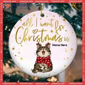 Personalized Cat Christmas Ornament, Pinktone,all I Want For Is, Winter Cats