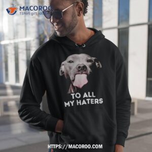 pitbull to all my haters shirt hoodie 1