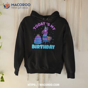 todays my birthday llama party decorations boys shirt dad day gifts hoodie