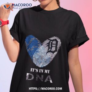 Detroit Lions And Detroit Tigers Heart It’s In My Dna 2023 T Shirt