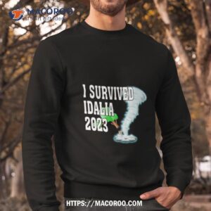 i survived hurricane idalia 2023 art design shirt sweatshirt