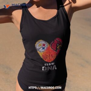 Pittsburgh Steelers And Arizona Cardinals Heartt It’s In My Dna 2023 Shirt