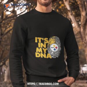 pittsburgh steelers football 2023 it s in my dna shirt sweatshirt