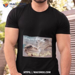 staying delulu is the solulu frog meme photo design shirt tshirt