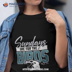  SUNDAYS ARE for The Birds Philly PA Classic Vintage