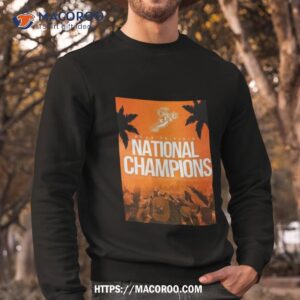 congratulations norfolk tides are 2023 triple a national champions t shirt sweatshirt