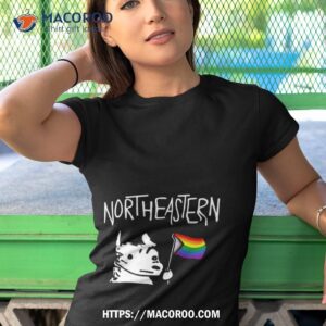 northeastern hoosky pride 2023 t shirt tshirt 1
