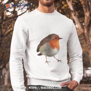 robin bird colored art shirt sweatshirt