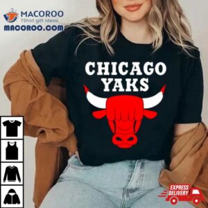 1994 Nba Chicago Bulls Women’s Clinic Vintage Shirt