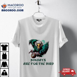 Stitch Philadelphia Eagles Autism Awareness Don’t Judge What You Don’t Understand Shirt