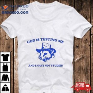 Raccoon Meme Daily God Is Testing Me And I Have Not Studied New Tshirt