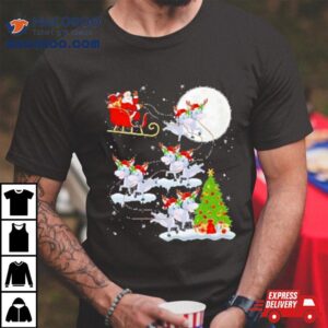 Santa Claus Reindeer Donkey Christmas Shirt