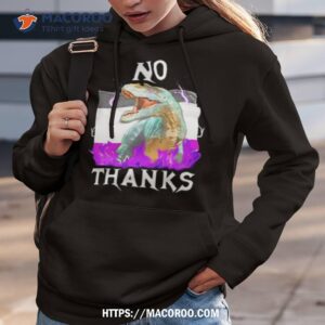 Vasaricore No Thanks Asexual Flag Hoodie 3