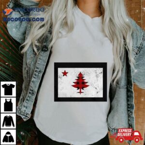 Buffalo Plaid Maine Christmas Flag Tshirt