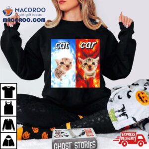 Cat Vs Car Heaven And Hell T Shirt