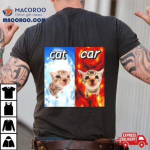 Cat Vs Car Heaven And Hell Tshirt