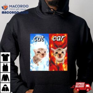 Cat Vs Car Heaven And Hell Tshirt