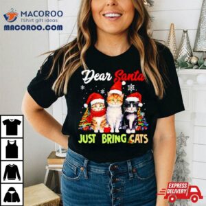 Dear Santa Just Bring Cats Merry Christmas Shirt