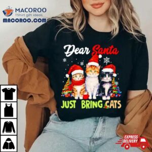 Dear Santa Just Bring Cats Merry Christmas Tshirt