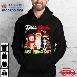 Dear Santa Just Bring Cats Merry Christmas Tshirt