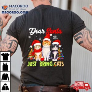 Dear Santa Just Bring Cats Merry Christmas Tshirt