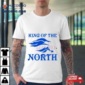 Detroit Lions King Of The North Football Tshirt