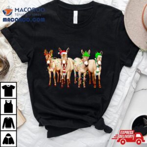 Donkey Merry Christmas Lights Tshirt