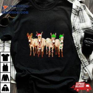 Donkey Merry Christmas Lights Tshirt